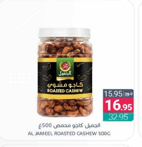 available at Muntazah Markets in KSA, Saudi Arabia, Saudi - Qatif