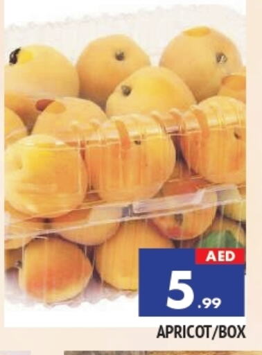 Apricot available at المدينة in الإمارات العربية المتحدة , الامارات - الشارقة / عجمان