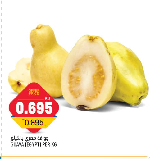 Guava from Egypt available at Oncost in Kuwait - Kuwait City