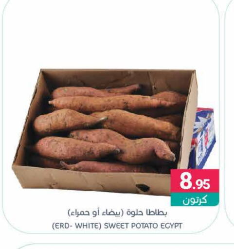 Sweet Potato from Egypt available at Muntazah Markets in KSA, Saudi Arabia, Saudi - Qatif