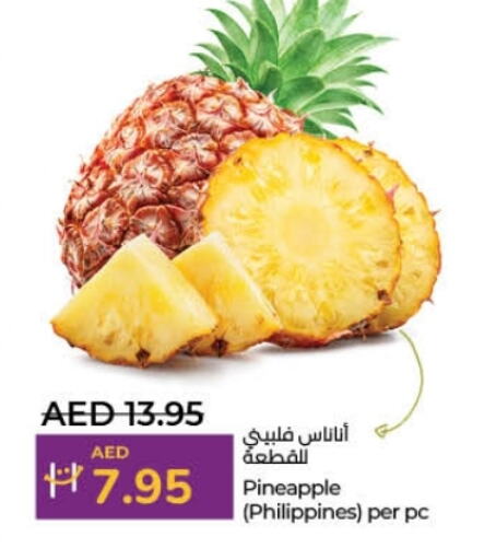 Pineapple from Philippines available at لولو هايبرماركت in الإمارات العربية المتحدة , الامارات - ٱلْفُجَيْرَة‎