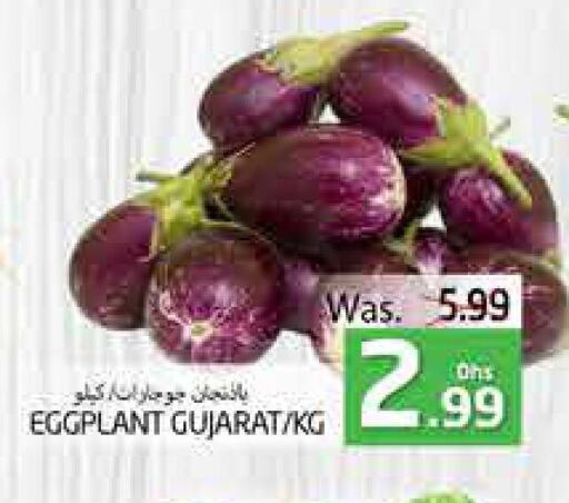 Eggplant available at مجموعة باسونس in الإمارات العربية المتحدة , الامارات - ٱلْعَيْن‎