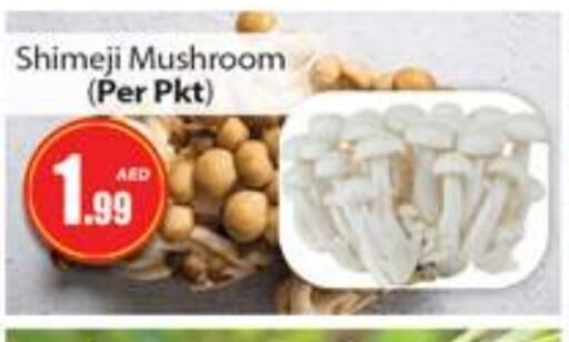 Mushroom available at Gulf Hypermarket LLC in UAE - Ras al Khaimah