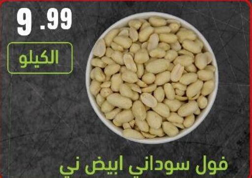 available at Bin Afif Bazaar in KSA, Saudi Arabia, Saudi - Dammam