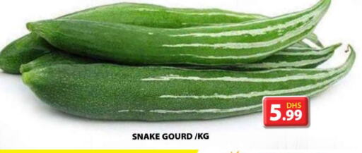 Gourd available at Grand Hyper Market in UAE - Sharjah / Ajman