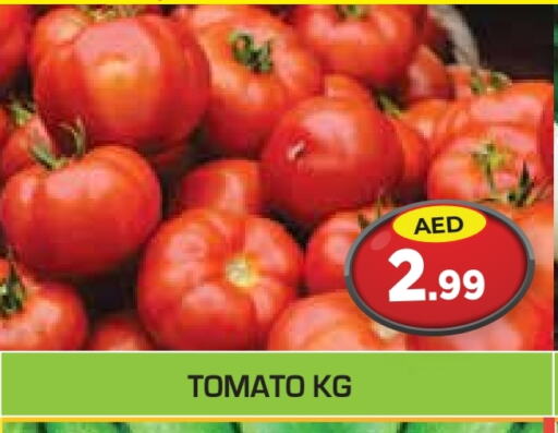 طماطم available at سنابل بني ياس in الإمارات العربية المتحدة , الامارات - ٱلْعَيْن‎