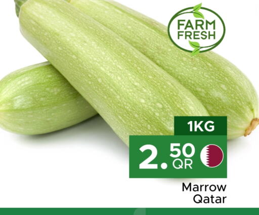 Marrow from Qatar available at مركز التموين العائلي in قطر - الخور