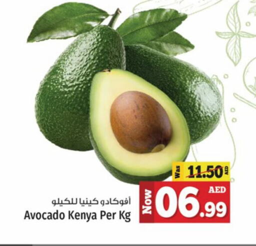 أفوكادو from Kenya available at كنز هايبرماركت in الإمارات العربية المتحدة , الامارات - الشارقة / عجمان