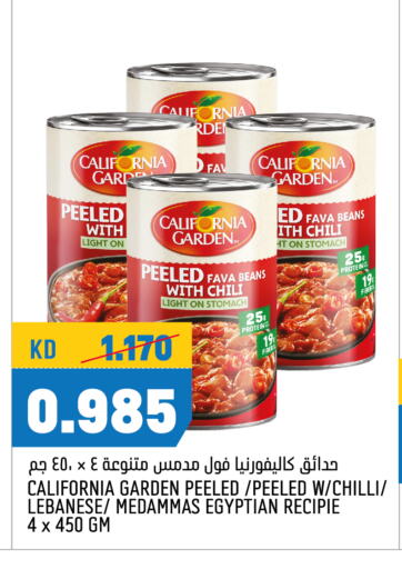 CALIFORNIA GARDEN Fava Beans available at Oncost in Kuwait - Kuwait City