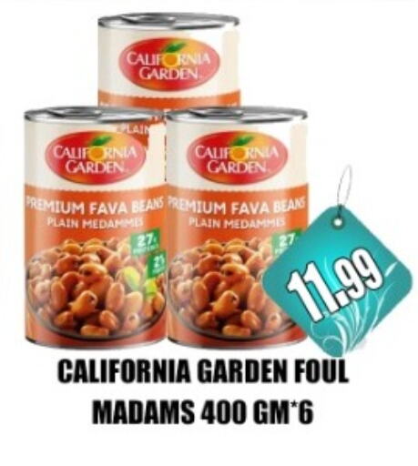 CALIFORNIA GARDEN Fava Beans available at Majestic Supermarket in UAE - Abu Dhabi