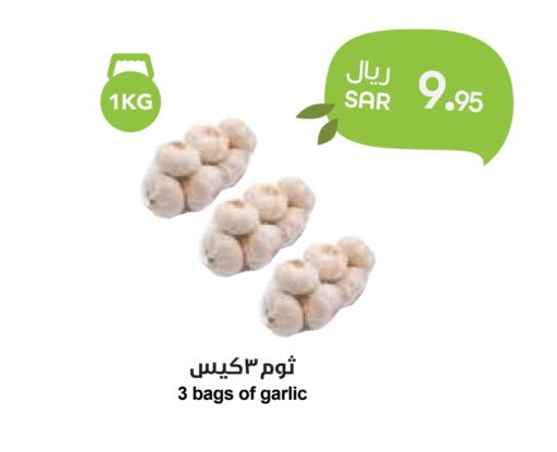 Garlic available at واحة المستهلك in مملكة العربية السعودية, السعودية, سعودية - الخبر‎