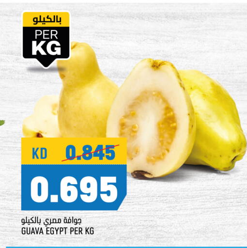 Guava from Egypt available at Oncost in Kuwait - Kuwait City