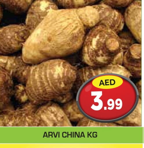 from China available at سنابل بني ياس in الإمارات العربية المتحدة , الامارات - أم القيوين‎