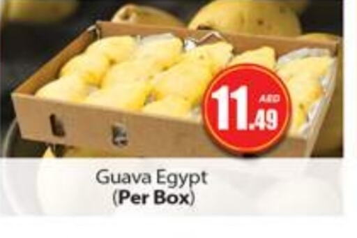 Guava from Egypt available at Gulf Hypermarket LLC in UAE - Ras al Khaimah