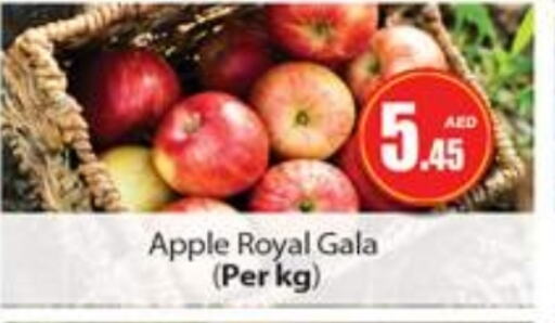 Apples available at Gulf Hypermarket LLC in UAE - Ras al Khaimah