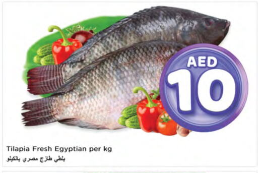 available at Nesto Hypermarket in UAE - Ras al Khaimah