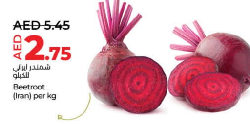 Beetroot from Iran available at Lulu Hypermarket in UAE - Sharjah / Ajman