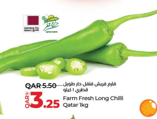 Chilli / Capsicum from Qatar available at LuLu Hypermarket in Qatar - Umm Salal