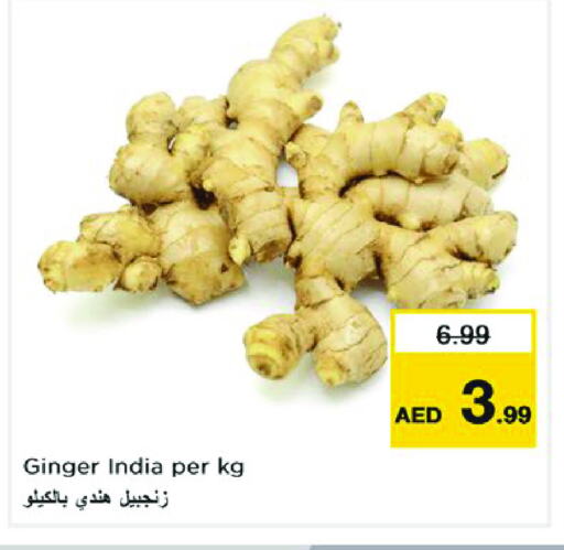 زنجبيل from India available at نستو هايبرماركت in الإمارات العربية المتحدة , الامارات - دبي