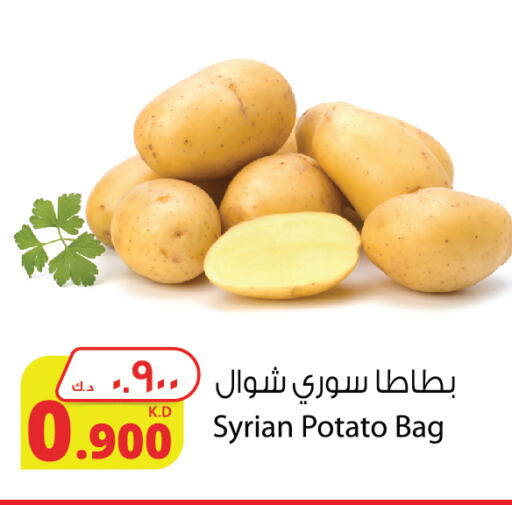 Potato from Syria available at Agricultural Food Products Co. in Kuwait - Ahmadi Governorate