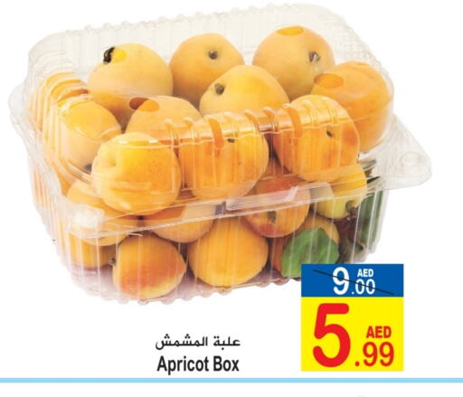 Apricot available at Sun and Sand Hypermarket in UAE - Ras al Khaimah