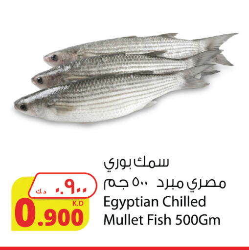 available at Agricultural Food Products Co. in Kuwait - Ahmadi Governorate