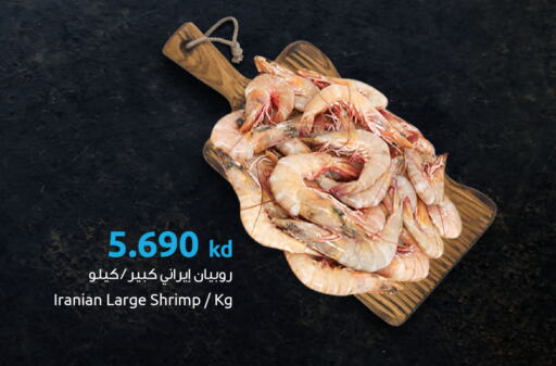 available at مركز سلطان in الكويت - محافظة الجهراء