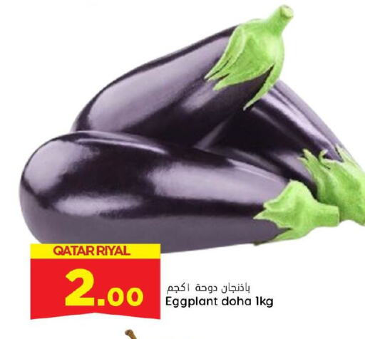 Eggplant from Qatar available at دانة هايبرماركت in قطر - الخور