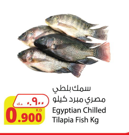 available at Agricultural Food Products Co. in Kuwait - Jahra Governorate