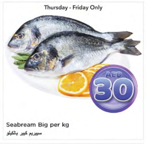 available at Nesto Hypermarket in UAE - Ras al Khaimah