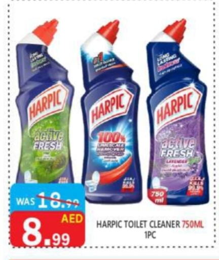 HARPIC Toilet / Drain Cleaner available at United Hypermarket in UAE - Dubai