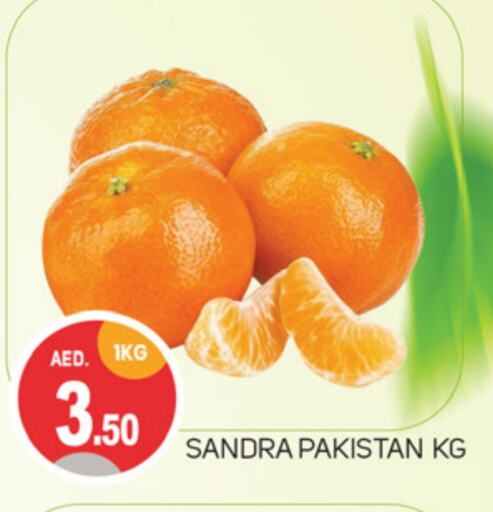 from Pakistan available at سوق طلال in الإمارات العربية المتحدة , الامارات - دبي