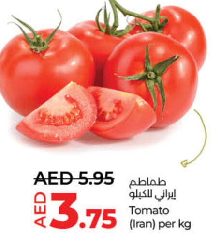 Tomato from Iran available at Lulu Hypermarket in UAE - Sharjah / Ajman