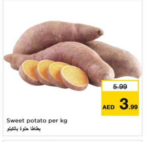 Sweet Potato available at Nesto Hypermarket in UAE - Al Ain