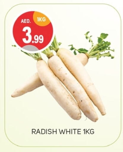 Radish available at TALAL MARKET in UAE - Dubai