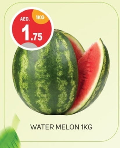 بطيخ available at سوق طلال in الإمارات العربية المتحدة , الامارات - دبي