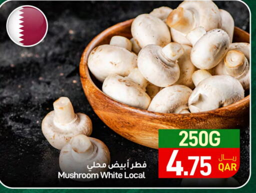 Mushroom available at SPAR in Qatar - Doha