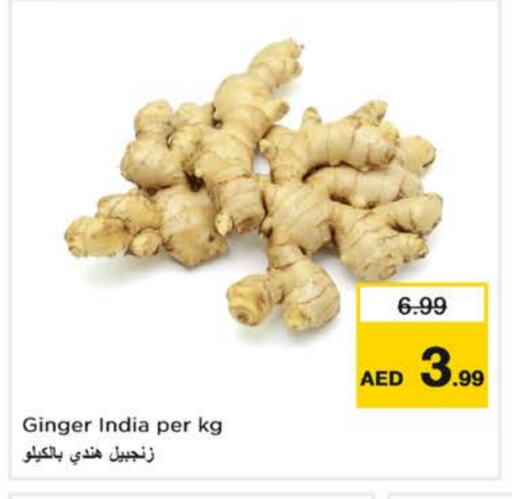 زنجبيل from India available at نستو هايبرماركت in الإمارات العربية المتحدة , الامارات - دبي