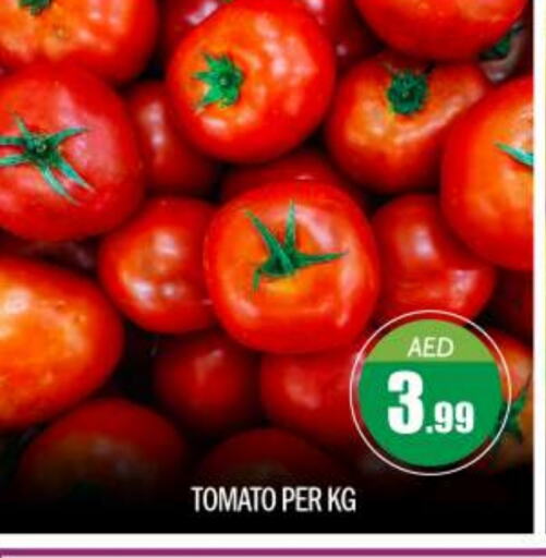 Tomato available at BIGmart in UAE - Abu Dhabi