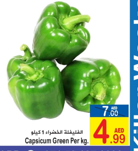 Chilli / Capsicum available at Sun and Sand Hypermarket in UAE - Ras al Khaimah