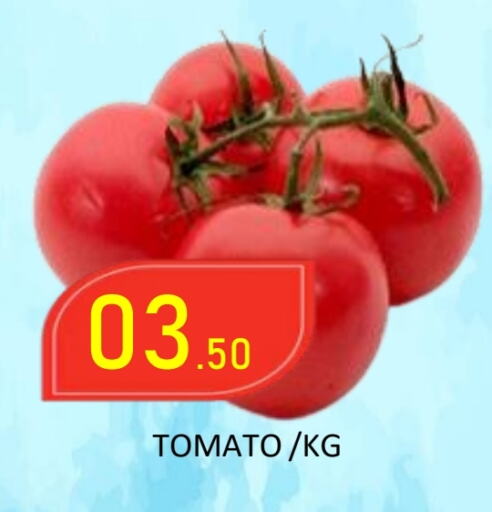 Tomato available at ROYAL GULF HYPERMARKET LLC in UAE - Abu Dhabi