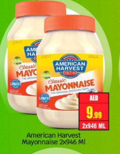 Mayonnaise available at BIGmart in UAE - Abu Dhabi