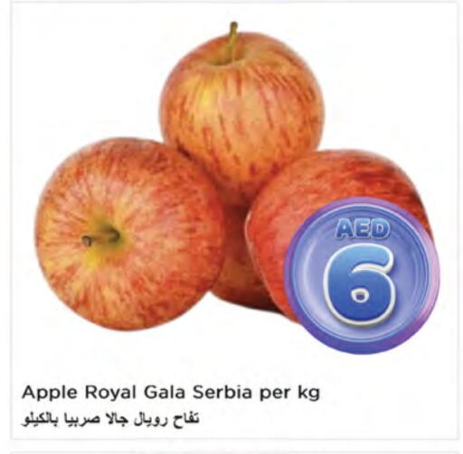 تفاح from Serbia available at نستو هايبرماركت in الإمارات العربية المتحدة , الامارات - رَأْس ٱلْخَيْمَة