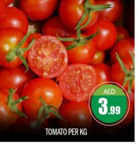 Tomato available at BIGmart in UAE - Abu Dhabi