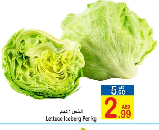 Lettuce available at Sun and Sand Hypermarket in UAE - Ras al Khaimah