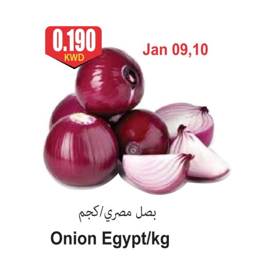 Onion from Egypt available at 4 SaveMart in Kuwait - Kuwait City