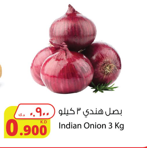 Onion from India available at Agricultural Food Products Co. in Kuwait - Kuwait City