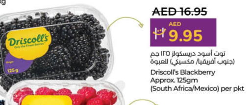 توت from South Africa Mexico available at لولو هايبرماركت in الإمارات العربية المتحدة , الامارات - الشارقة / عجمان