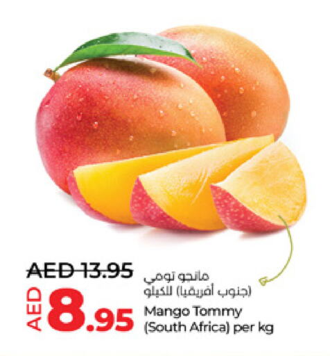 Mangoes from South Africa available at Lulu Hypermarket in UAE - Al Ain