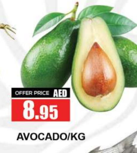 Avocado available at كويك سوبرماركت in الإمارات العربية المتحدة , الامارات - دبي